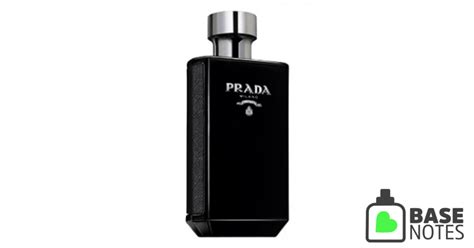 basenotes prada l'homme vs intense|prada l'homme vs intense reddit.